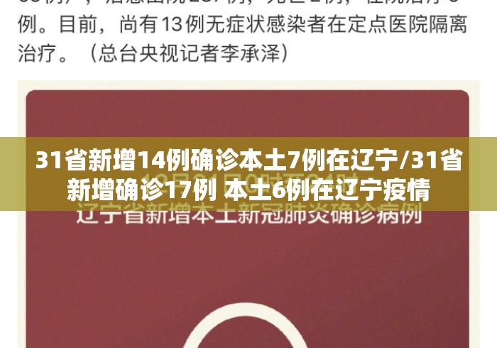 31省新增14例确诊本土7例在辽宁/31省新增确诊17例 本土6例在辽宁疫情