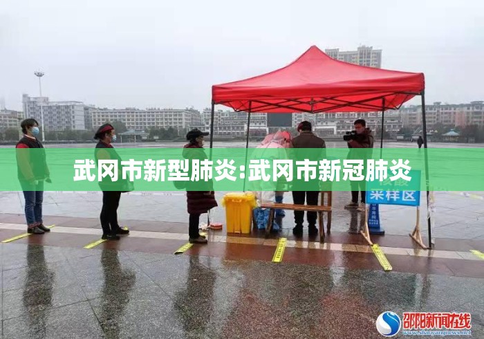 武冈市新型肺炎:武冈市新冠肺炎