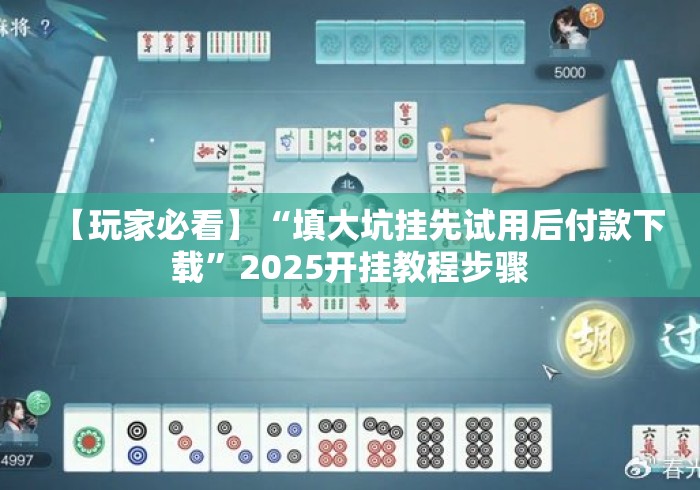 【玩家必看】“填大坑挂先试用后付款下载”2025开挂教程步骤