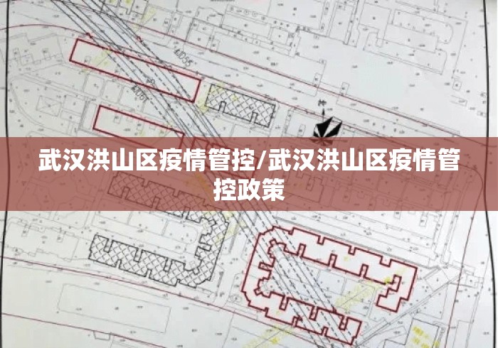 武汉洪山区疫情管控/武汉洪山区疫情管控政策 武汉洪山区疫情管控/武汉洪山区疫情管控政策