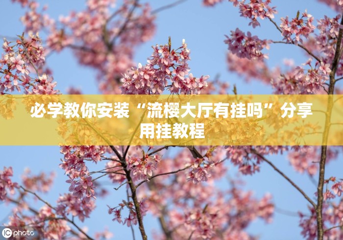 必学教你安装“流樱大厅有挂吗”分享用挂教程