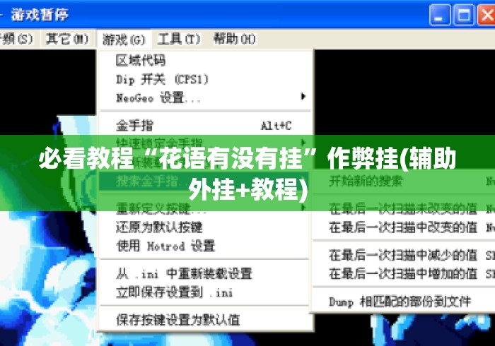必看教程“花语有没有挂	”作弊挂(辅助外挂+教程)