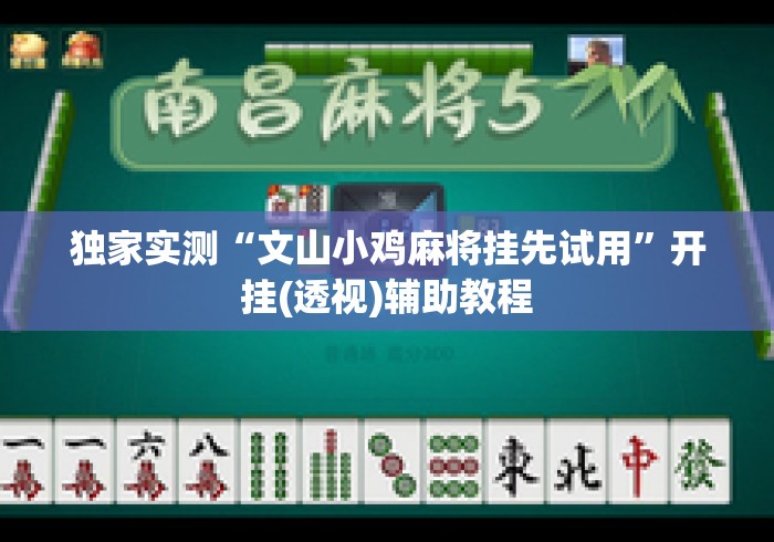 独家实测“文山小鸡麻将挂先试用	”开挂(透视)辅助教程