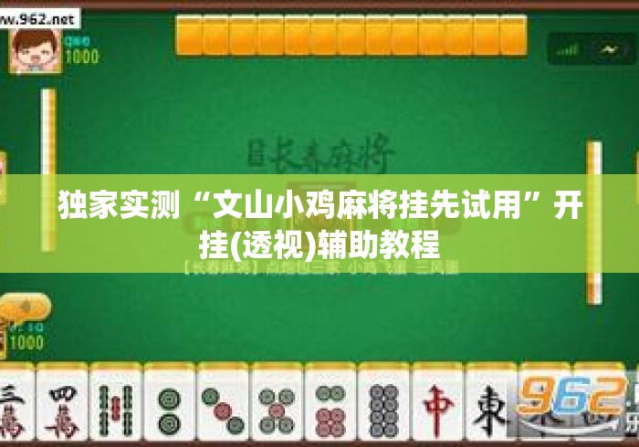 独家实测“文山小鸡麻将挂先试用”开挂(透视)辅助教程