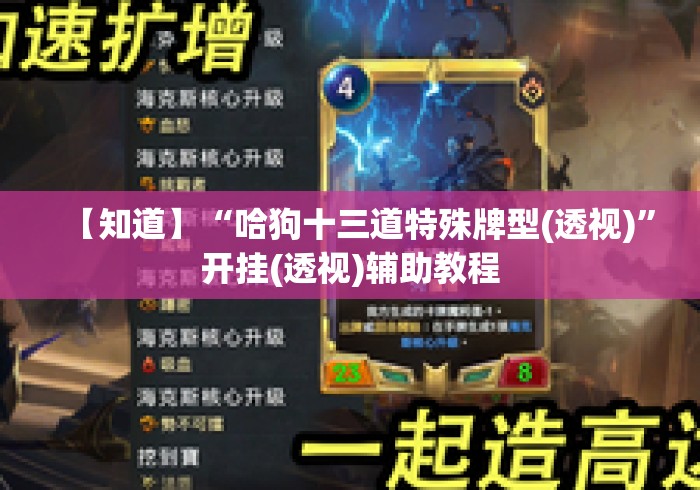【知道】“哈狗十三道特殊牌型(透视)”开挂(透视)辅助教程