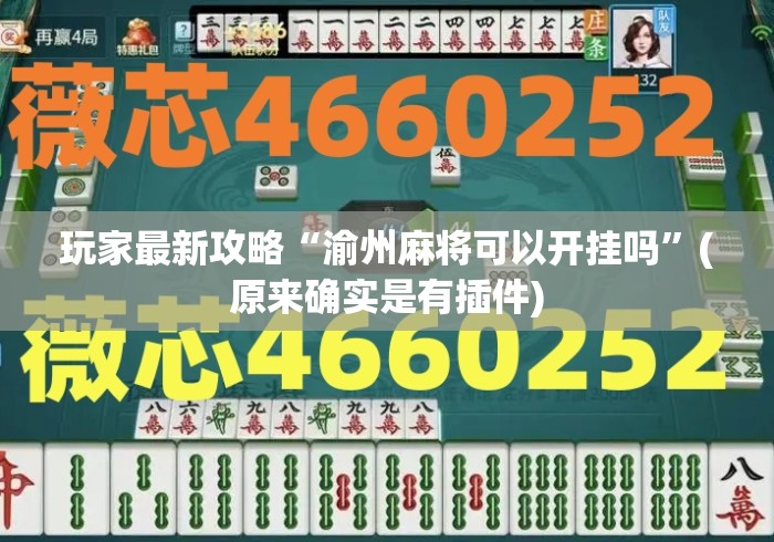 玩家最新攻略“渝州麻将可以开挂吗	”(原来确实是有插件)