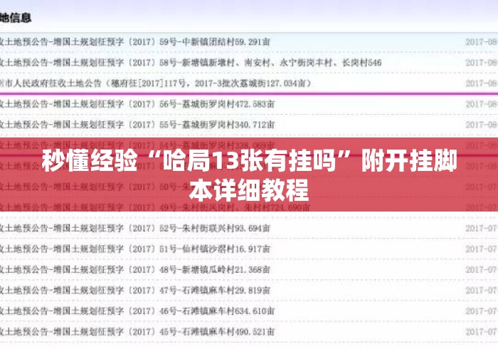 秒懂经验“哈局13张有挂吗”附开挂脚本详细教程