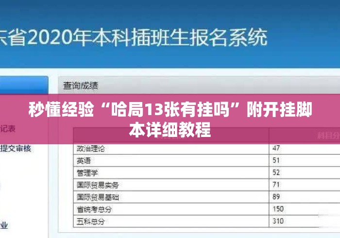 秒懂经验“哈局13张有挂吗	”附开挂脚本详细教程