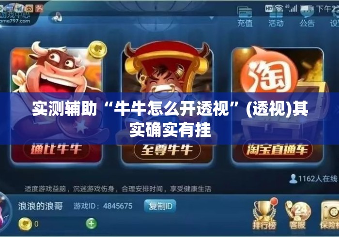 实测辅助“牛牛怎么开透视”(透视)其实确实有挂