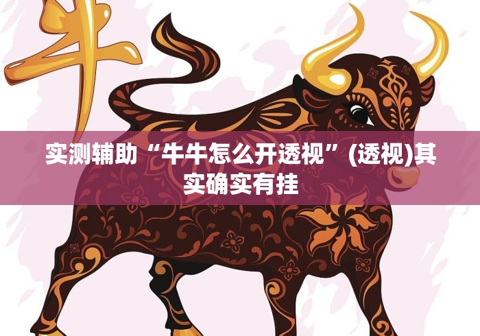 实测辅助“牛牛怎么开透视”(透视)其实确实有挂