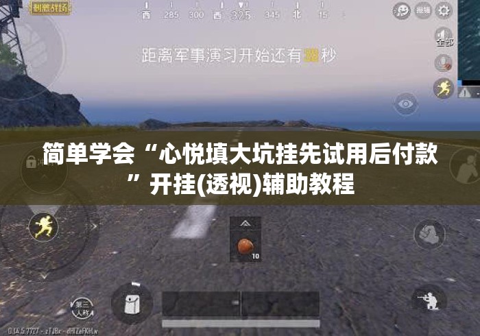 简单学会“心悦填大坑挂先试用后付款”开挂(透视)辅助教程