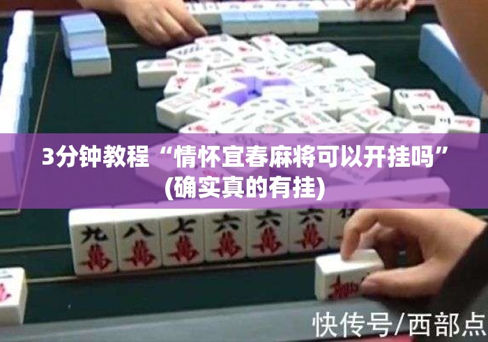 3分钟教程“情怀宜春麻将可以开挂吗”(确实真的有挂)