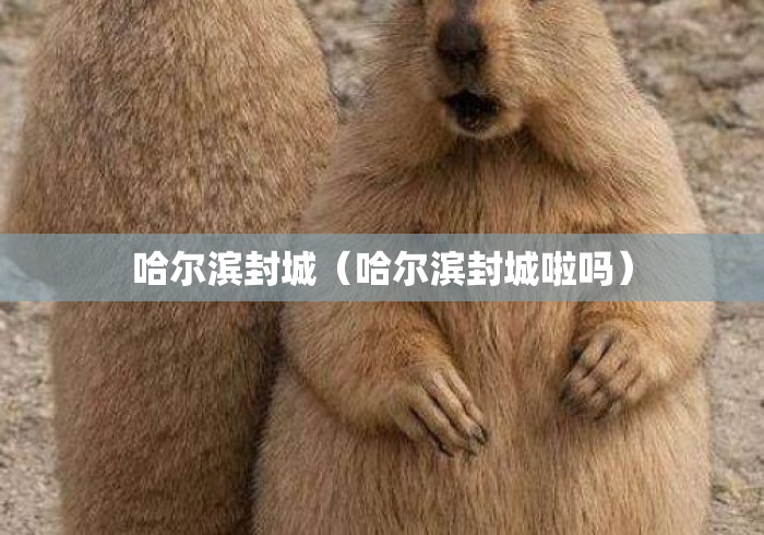 哈尔滨封城（哈尔滨封城啦吗）