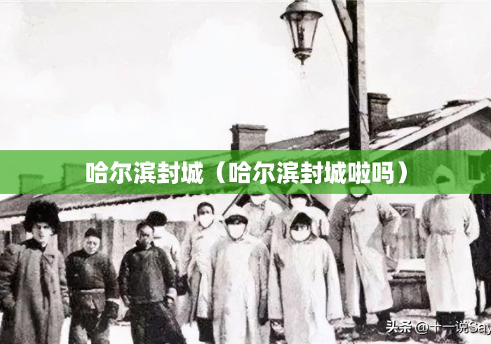 哈尔滨封城（哈尔滨封城啦吗）