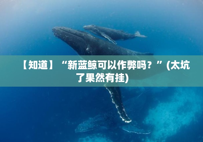 【知道】“新蓝鲸可以作弊吗？”(太坑了果然有挂)