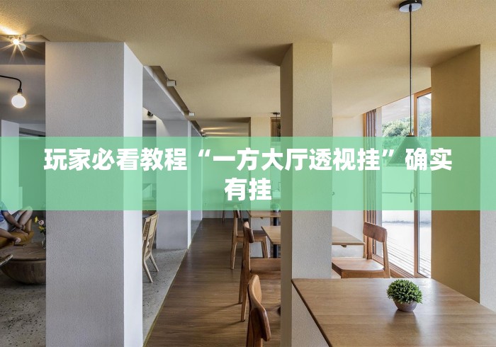 玩家必看教程“一方大厅透视挂”确实有挂
