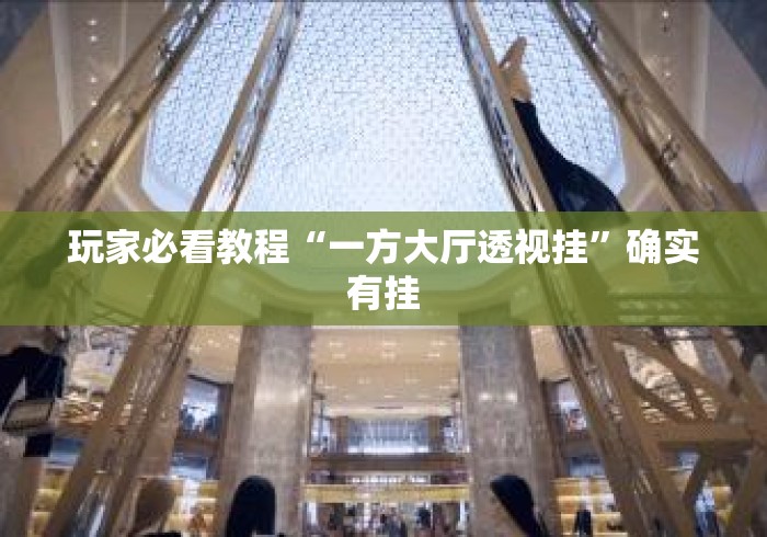 玩家必看教程“一方大厅透视挂”确实有挂