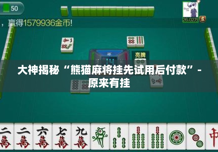大神揭秘“熊猫麻将挂先试用后付款”-原来有挂