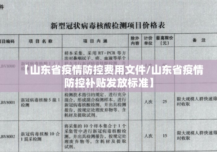 【山东省疫情防控费用文件/山东省疫情防控补贴发放标准】