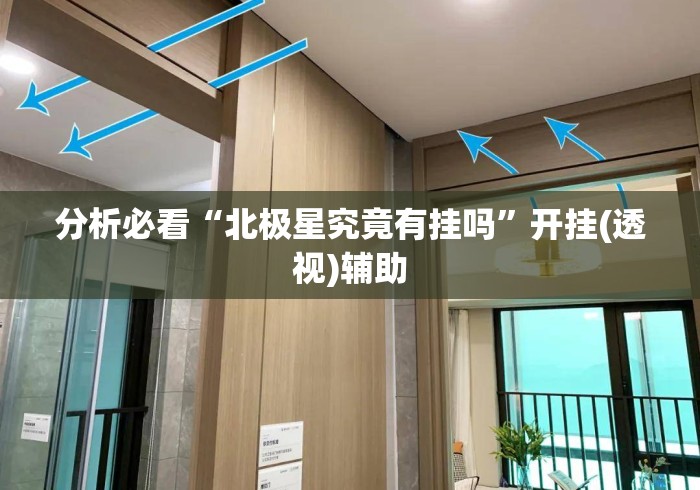 分析必看“北极星究竟有挂吗”开挂(透视)辅助