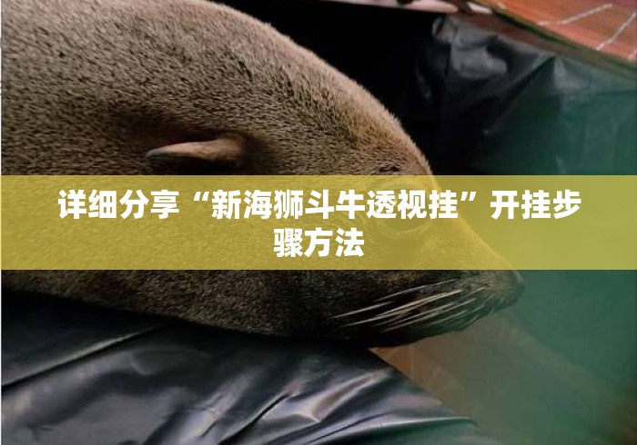 详细分享“新海狮斗牛透视挂	”开挂步骤方法