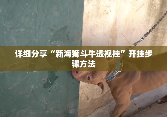 详细分享“新海狮斗牛透视挂”开挂步骤方法