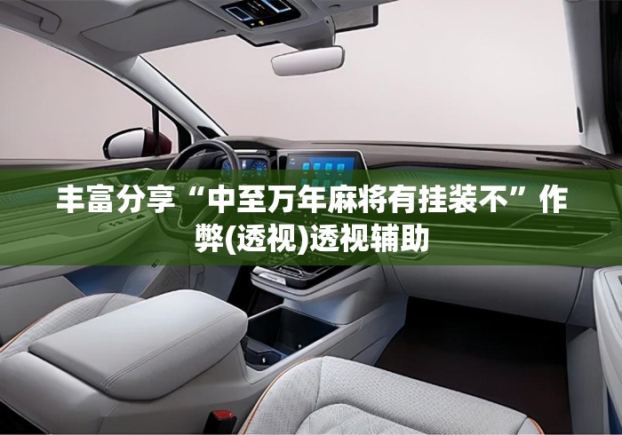 丰富分享“中至万年麻将有挂装不”作弊(透视)透视辅助