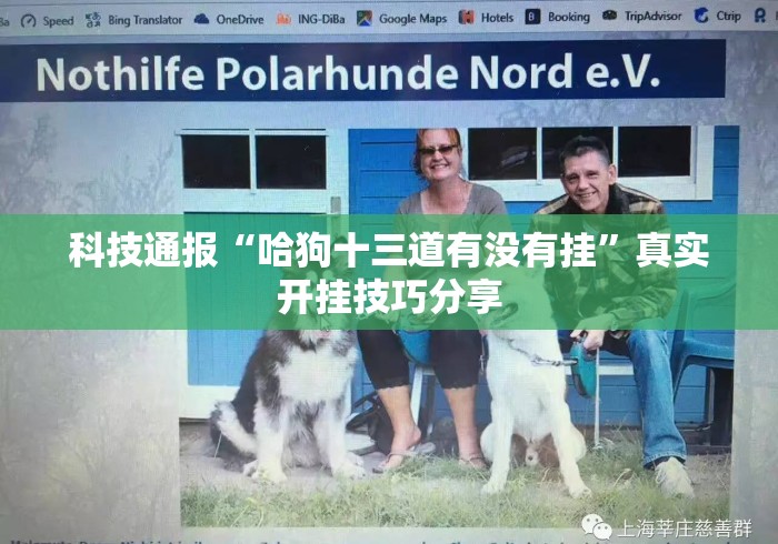 科技通报“哈狗十三道有没有挂”真实开挂技巧分享
