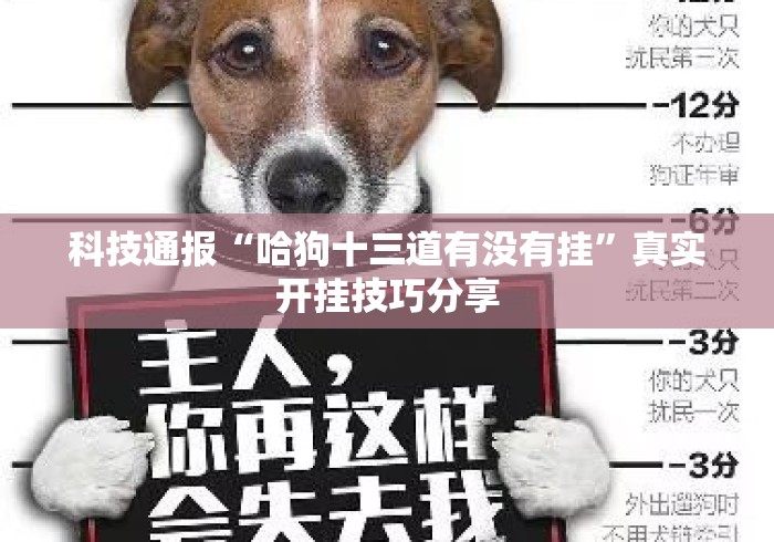 科技通报“哈狗十三道有没有挂”真实开挂技巧分享