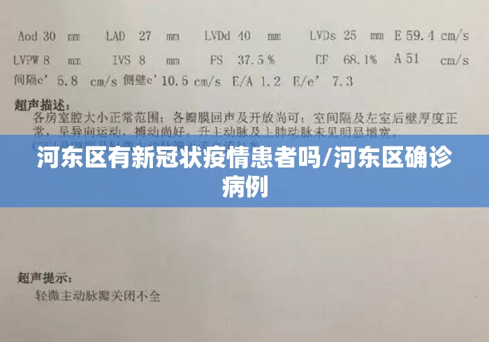河东区有新冠状疫情患者吗/河东区确诊病例