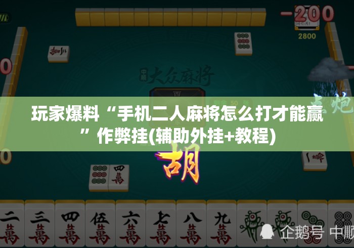 玩家爆料“手机二人麻将怎么打才能赢	”作弊挂(辅助外挂+教程)