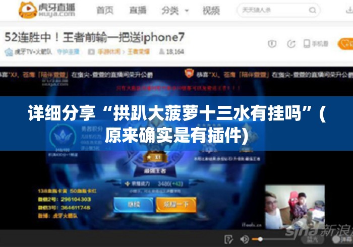 详细分享“拱趴大菠萝十三水有挂吗”(原来确实是有插件)