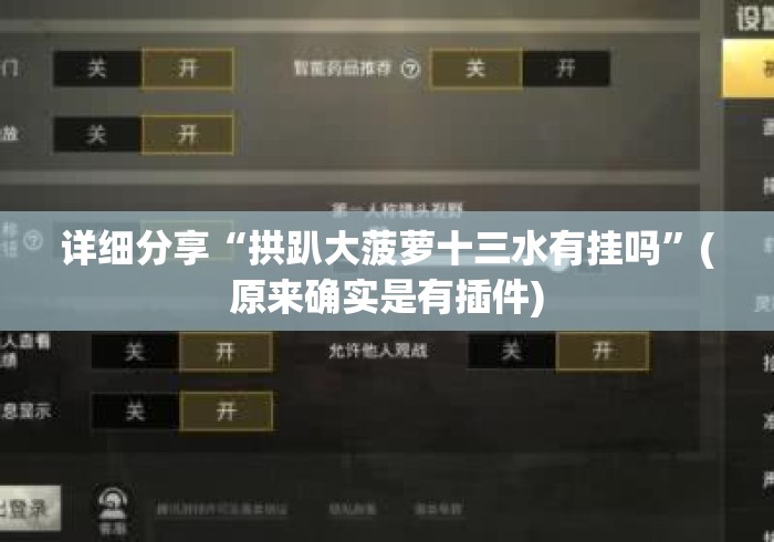 详细分享“拱趴大菠萝十三水有挂吗	”(原来确实是有插件)