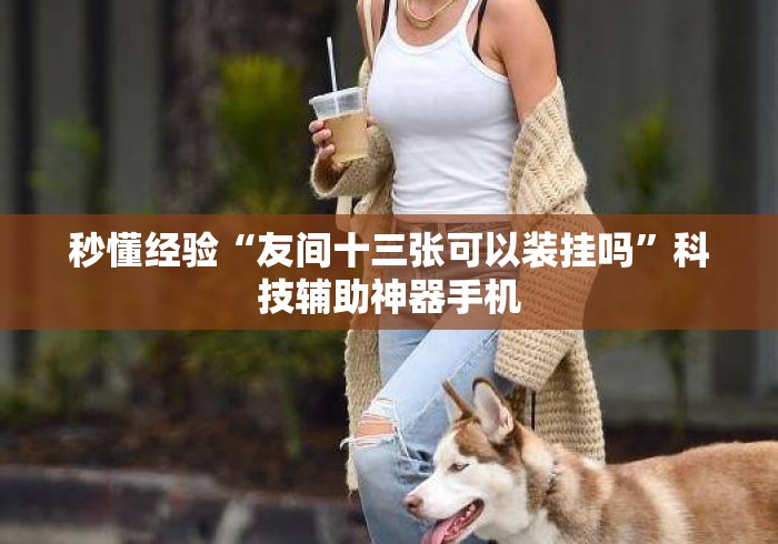 秒懂经验“友间十三张可以装挂吗”科技辅助神器手机