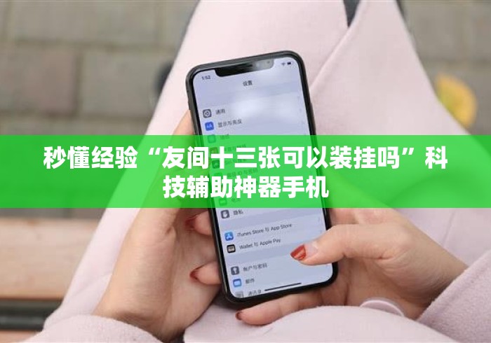 秒懂经验“友间十三张可以装挂吗	”科技辅助神器手机