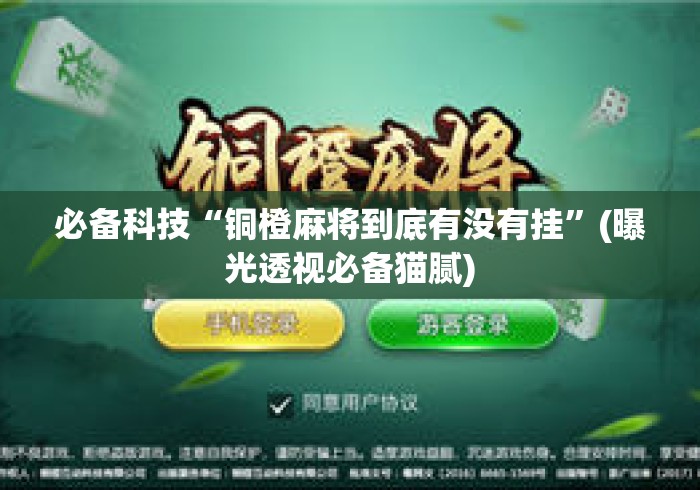 必备科技“铜橙麻将到底有没有挂”(曝光透视必备猫腻)