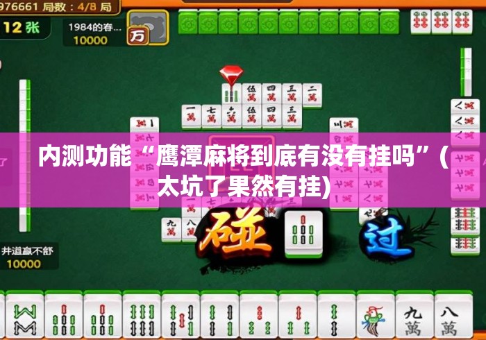 内测功能“鹰潭麻将到底有没有挂吗”(太坑了果然有挂)