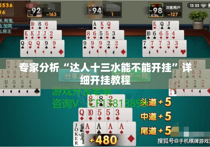 专家分析“达人十三水能不能开挂”详细开挂教程