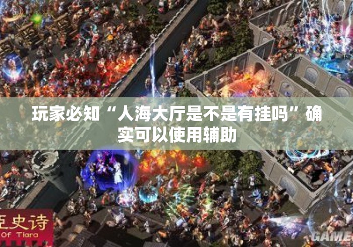 玩家必知“人海大厅是不是有挂吗”确实可以使用辅助