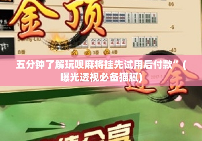 五分钟了解玩呗麻将挂先试用后付款	”(曝光透视必备猫腻)