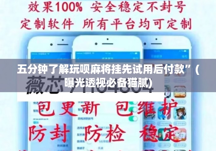 五分钟了解玩呗麻将挂先试用后付款	”(曝光透视必备猫腻)
