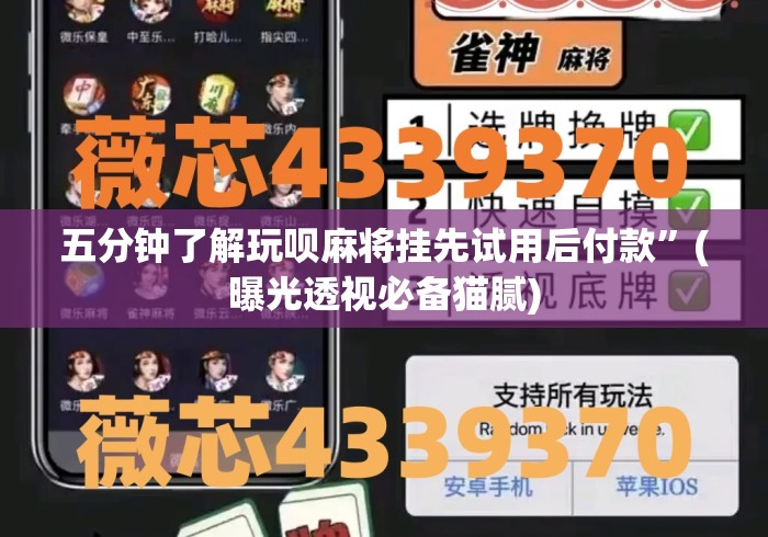 五分钟了解玩呗麻将挂先试用后付款”(曝光透视必备猫腻)