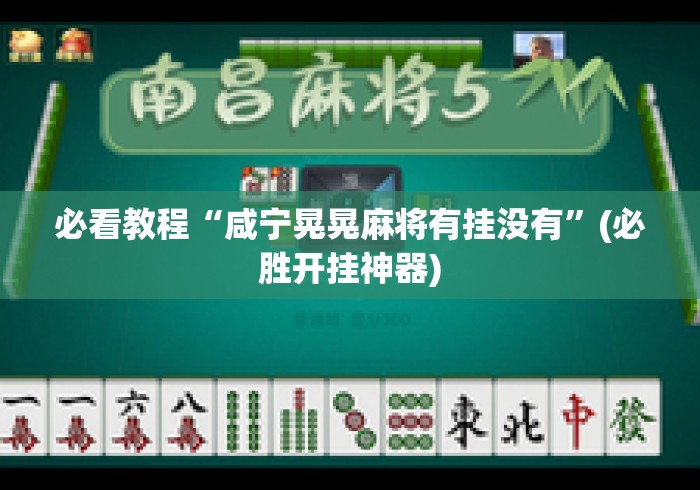 必看教程“咸宁晃晃麻将有挂没有”(必胜开挂神器)