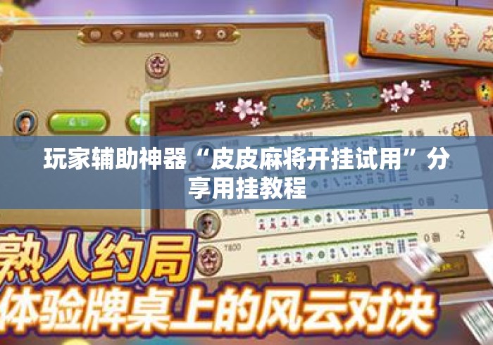 玩家辅助神器“皮皮麻将开挂试用	”分享用挂教程