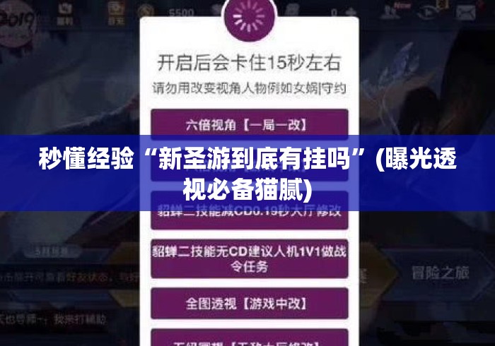 秒懂经验“新圣游到底有挂吗”(曝光透视必备猫腻)