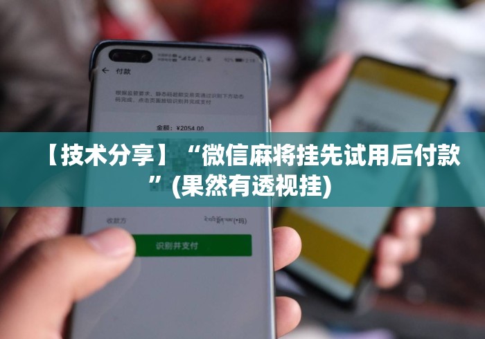 【技术分享】“微信麻将挂先试用后付款”(果然有透视挂) 