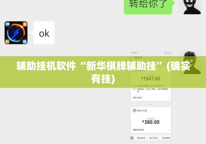 辅助挂机软件“新华棋牌辅助挂”(确实有挂)