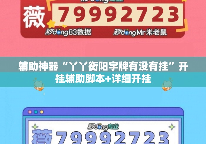 辅助神器“丫丫衡阳字牌有没有挂”开挂辅助脚本+详细开挂