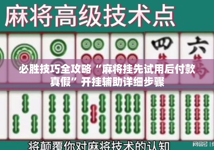 必胜技巧全攻略“麻将挂先试用后付款真假”开挂辅助详细步骤