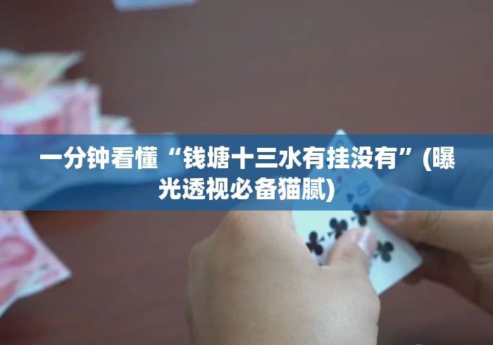 一分钟看懂“钱塘十三水有挂没有	”(曝光透视必备猫腻)